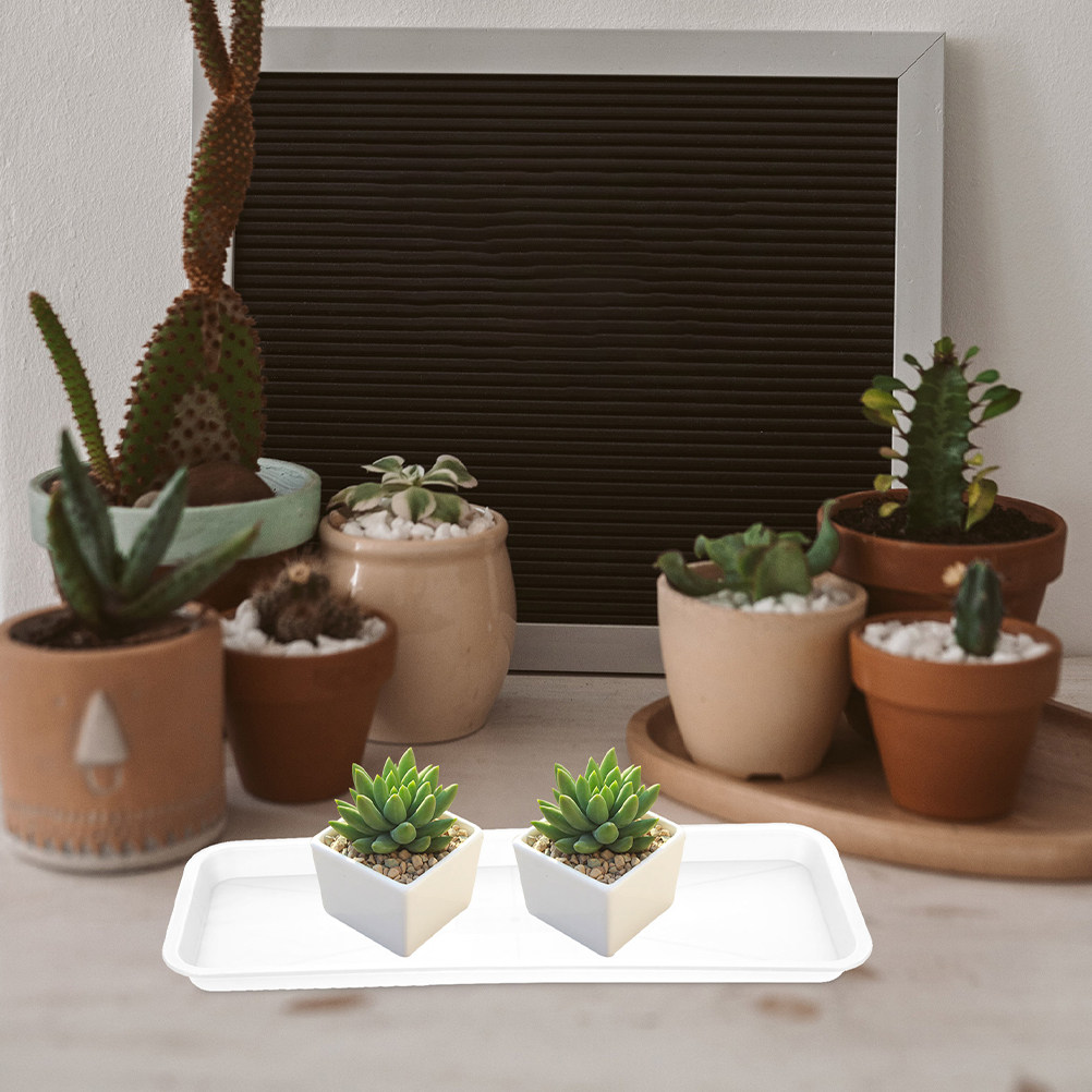 Drip Tray Saucer - 5 unidades de bandeja retangular rasa