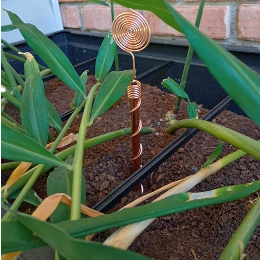 Estacas Espirais para Plantas  - Copper Wire Roll avaliação e preço